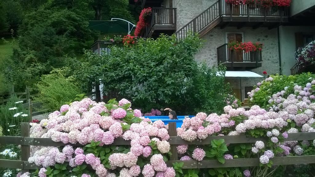 Antica Casa Ortensia Riva del Garda Habitación foto
